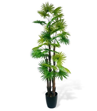 Yapay Ağaç Yelpaze Palmiye 4Katlı Fanpalm 32 Yaprak 170*65cm