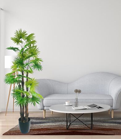 Yapay Ağaç Yelpaze Palmiye 4Katlı Fanpalm 32 Yaprak 170*65cm