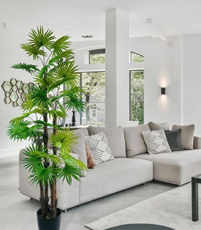Yapay Ağaç Yelpaze Palmiye 4Katlı Fanpalm 32 Yaprak 170*65cm