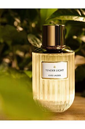 Estee Lauder Tender Light EDP 100 ml Kadın Parfüm