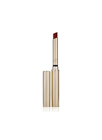 Pure Color Explicit Silk Matte Lipstick - Off The Record
