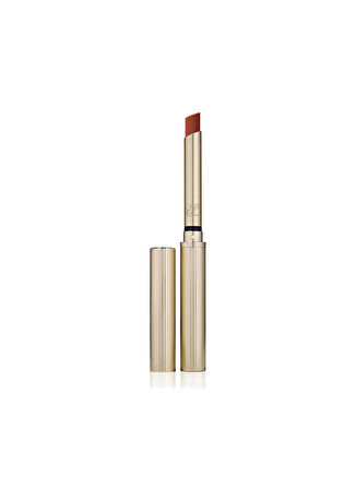 Pure Color Explicit Silk Matte Lipstick - Double or Nothing