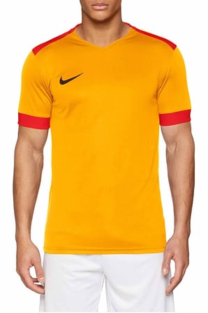 Nike M NK DRY PRK DRBY II JSY SS Erkek Tişört 894312-739