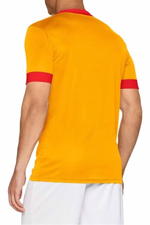 Nike M NK DRY PRK DRBY II JSY SS Erkek Tişört 894312-739