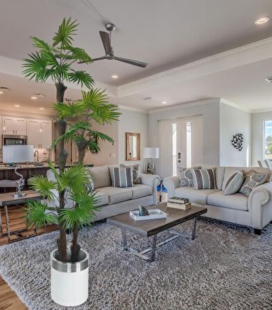 Yapay Ağaç Palmiye Fanpalm 3Katlı 24Yaprak Gümüş Kemerli Beyaz Saksıda 165*65cm