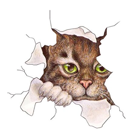 Kedi Oto araba Sticker yapıştırması 19cm renkli