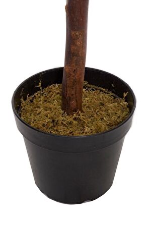 Yapay Zeytin Ağacı 120cm Tek Gövdeli Doğal Gerçek Görünümlü Yapay Ağaç