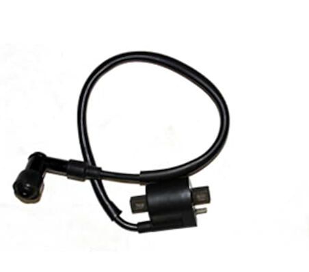 Mondıal Ateşleme Bobini Mondıal (orj) Revıval 50 Cc Kt150 Kn
