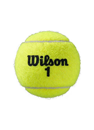 Wilson Sarı Tenis Topu TOPTNSWIL032-ROLAND GARROS CLAY CT