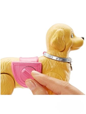 Barbie Barbıe Yürüyüş Ve oyun Arkadaşı Köpekçik Walk Potty Pup