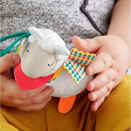 Fisher Price Eğlenceli Arkadaşlar Dişlik ve Çıngıraklar - Lama FXC20