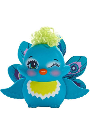 Patter Peacock & Flap