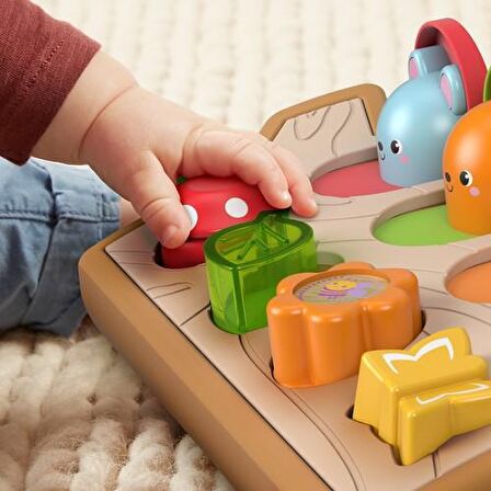 FP Sürprizli Arkadaşlar Kumaş Ayrıntılı Gerçek Ahşap GJW24 Lisanslı