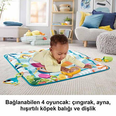 Mattel GRR44 Oyuncaklı Havuz Keyfi Oyun Halısı