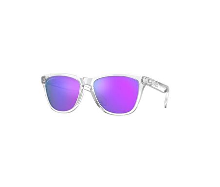 Oakley Güneş Gözlüğü 9013 H7 Oakley Frogskins