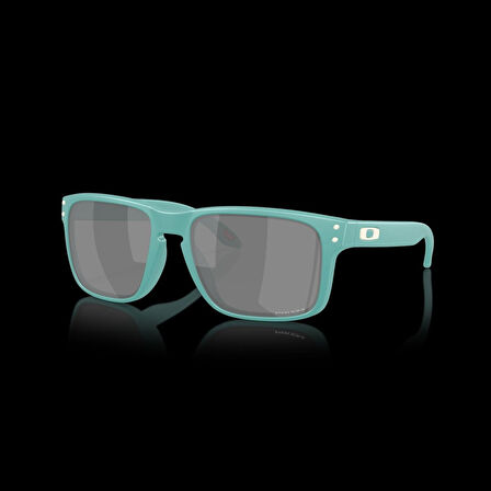 Oakley HOLBROOK Unisex Gözlük 0OO9102-OAK.AF