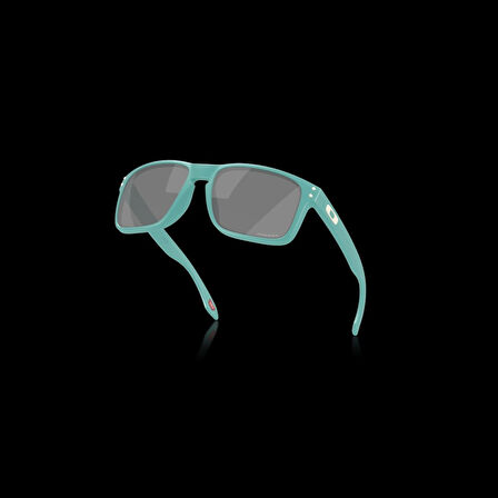 Oakley HOLBROOK Unisex Gözlük 0OO9102-OAK.AF
