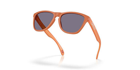 Oakley FROGSKINS Unisex Gözlük 0OO9013-OAK.M1