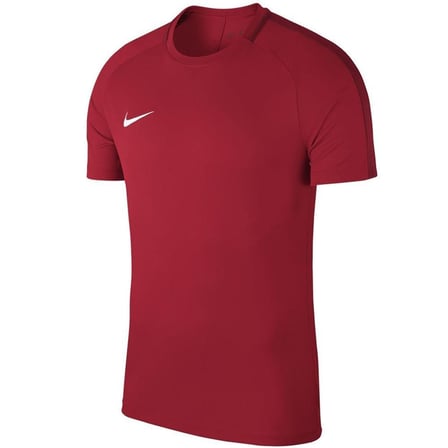 Nike 893693-657 M Nk Dry Acdmy18 Top Ss Erkek T-Shirt