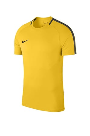 Nike Academy 18 Ss Top 893693-719 T-Shirt