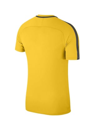 Nike Academy 18 Ss Top 893693-719 T-Shirt