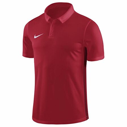 Nike M Nk Dry Acdmy18 Polo Ss Erkek T-shirt