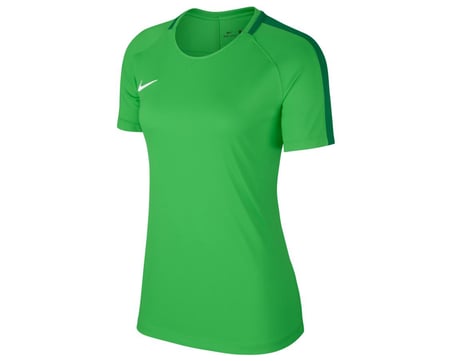 Nike W Nk Dry Acdmy18 Ss Kadın Tişört 893741-361