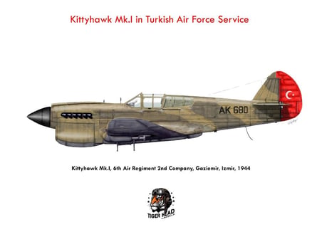 TIGERHEAD KITTYHAWK MK.I in Turkish Air Force service ( 1/48 )