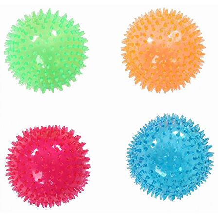 Pawise Dikenli Lastik Top Köpek Oyuncağı 7cm