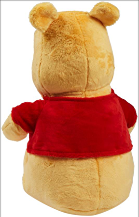 Sun-Lfn-Peluş Core Pooh 25 Cm.(Wtp)