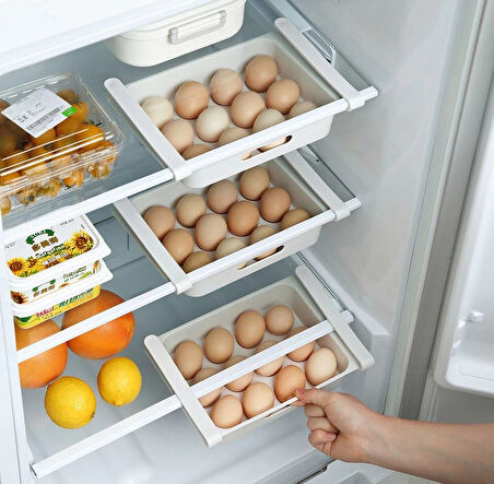 15 Li Yumurta Yiyecek Organizer Kutu 2 adet