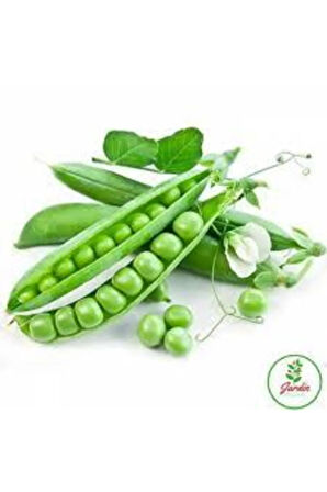 20 Adet Tohum Organik Orjinal Geleneksel Bezelye Tohumu Sürpriz Hediye Sebze Tohumu