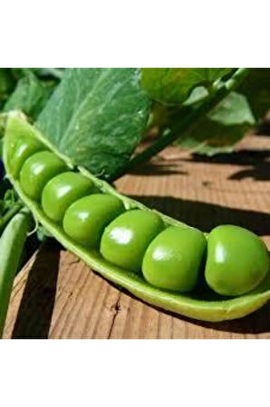 20 Adet Tohum Organik Orjinal Geleneksel Bezelye Tohumu Sürpriz Hediye Sebze Tohumu