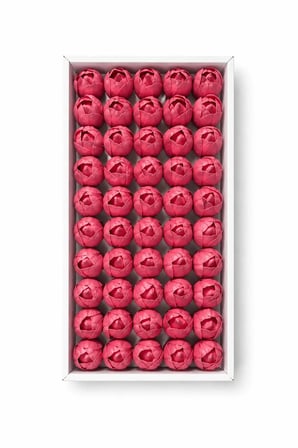 Açık Pembe Kokulu Kafa Lale 4,5 cm - 50 Adet