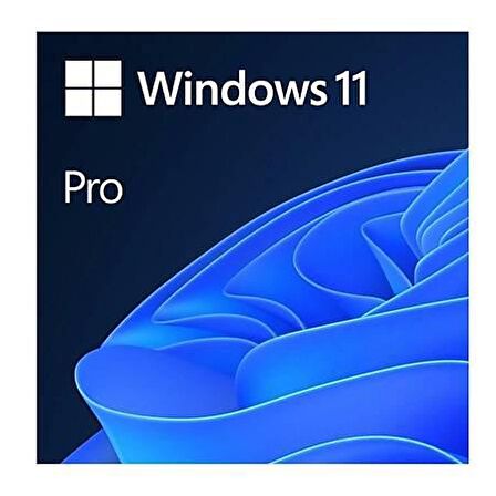 MS WINDOWS 11 PRO TR KUTU HAV-00159