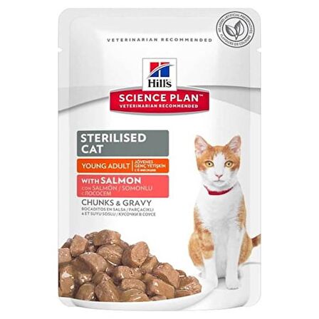 Hill's Kısırlaştırılmış Kedi Konservesi Somon Balıklı 85 gr