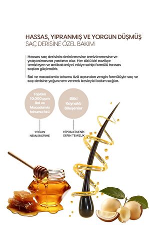 Kırılma Karşıtı Besleyici Bakım Şampuanı KUNDAL Honey & Macadamia Nature Shampoo 1058ml (White Musk)