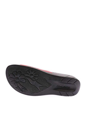 FLORA ZENNE (35-41)