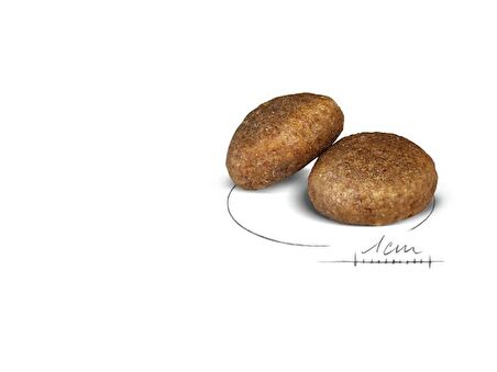 Royal Canin Büyük Irklar için Yetişkin Kuru Köpek Maması 15 Kg