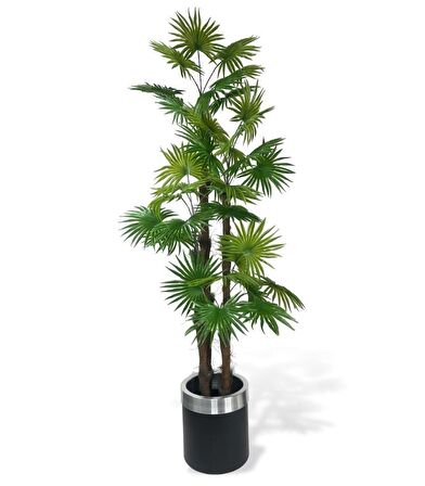 Yapay Ağaç Yelpaze Palmiye 4Katlı Fanpalm 32 Yaprak Gümüş Kemerli Siyah Saksıda 170*65cm