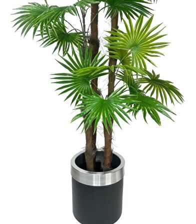 Yapay Ağaç Yelpaze Palmiye 4Katlı Fanpalm 32 Yaprak Gümüş Kemerli Siyah Saksıda 170*65cm