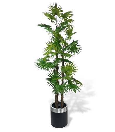 Yapay Ağaç Yelpaze Palmiye 4Katlı Fanpalm 32 Yaprak Gümüş Kemerli Siyah Saksıda 170*65cm