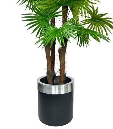 Yapay Ağaç Yelpaze Palmiye 4Katlı Fanpalm 32 Yaprak Gümüş Kemerli Siyah Saksıda 170*65cm
