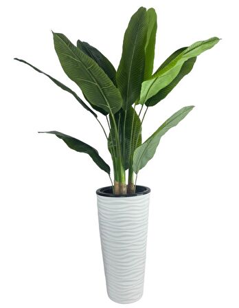 Yapay Starliçe Muz Ağacı Beyaz Kumsal Vazoda Muz Ağacı Yapay Starliçe 150cm 12 Yaprak