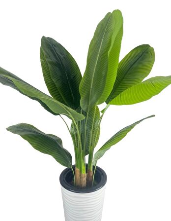 Yapay Starliçe Muz Ağacı Beyaz Kumsal Vazoda Muz Ağacı Yapay Starliçe 150cm 12 Yaprak