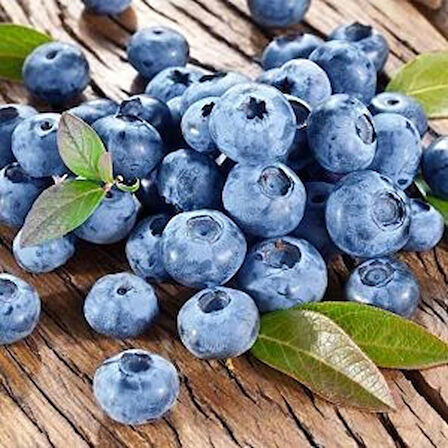 2'li Meyve Paketi - Yaban Mersini (Vaccinium corymbosum) ve Böğürtlen (Rubus fruticosus) Fidanı, 1-2 Yaş Arası Tüplü