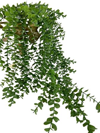 Yapay Çiçek Sarkan Şimşir Okaliptus Jumbo Boy 75*35cm Yapay Sarmaşık