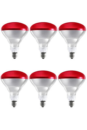 (6 Adet) 250w Kızılötesi Isıtıcılı Hayvan Isıtma Ve Kuluçka Lambası (kırmızı Işık) E27 (kalın Duy)