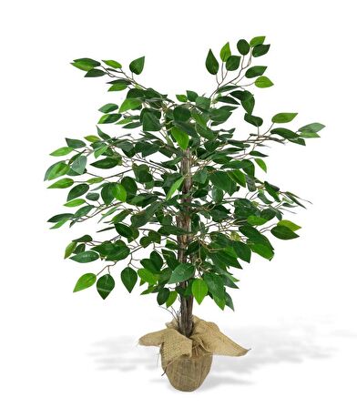 Yapay Ağaç Benjamin 3 Gövdeli Çalılı 100x60cm Keten Sarılı Siyah Plastik Saksılı