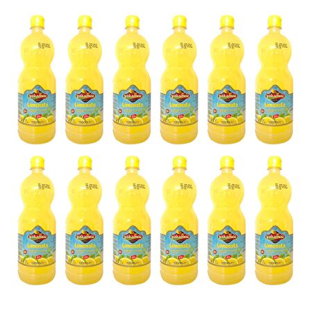 Yakamoz Limonata 1 lt 12 li